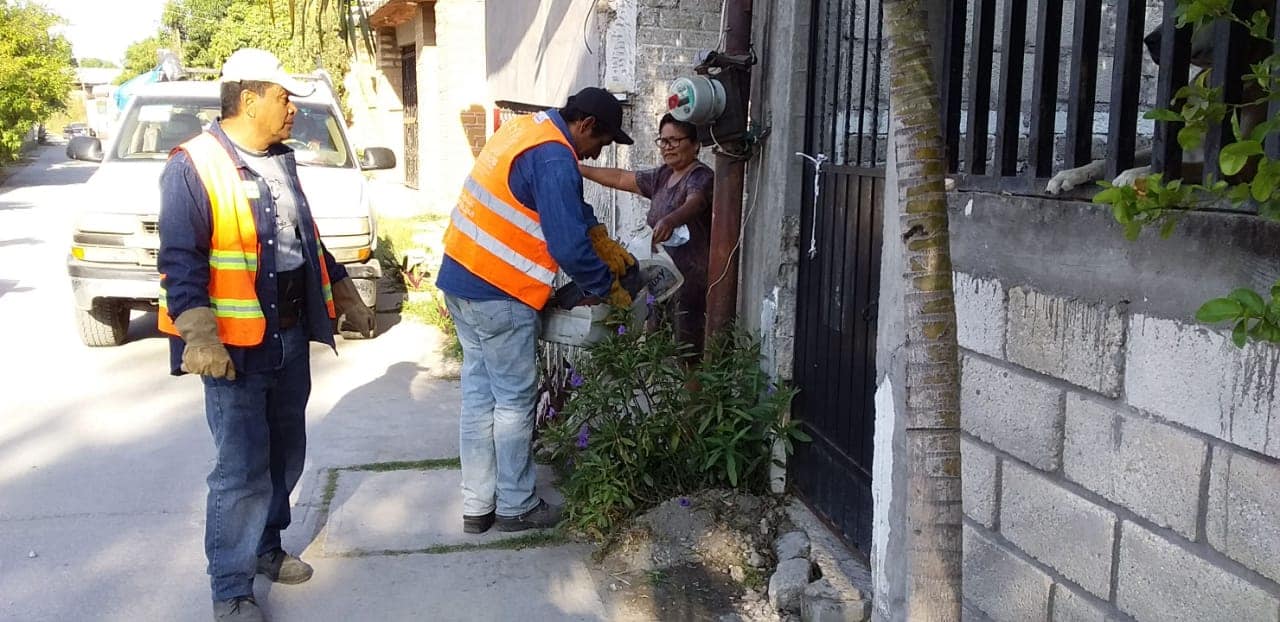 CAMPAÑA DE DESCACHARRIZACIÓN PARA EVITAR LA PROPAGACIÓN DE MOSCOS EN EL MUNICIPIO. 